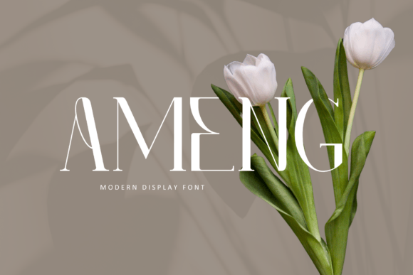 Ameng Serif Font: Elegant Typography for Scroll-Stopping Marketing