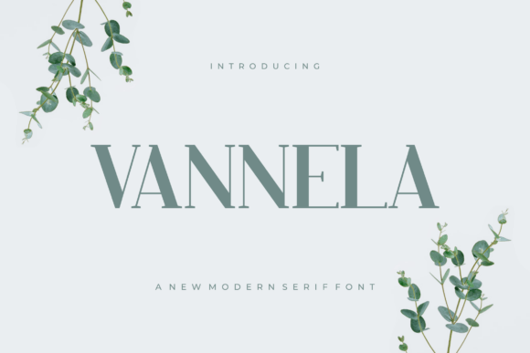 Vannela: A Modern Serif Font for Scroll-Stopping Brand Content